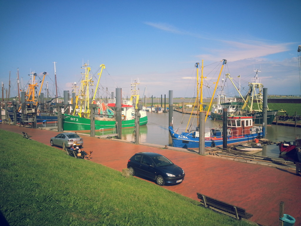 Fischerboote im Hafen von Ditzum. Wie lange noch?